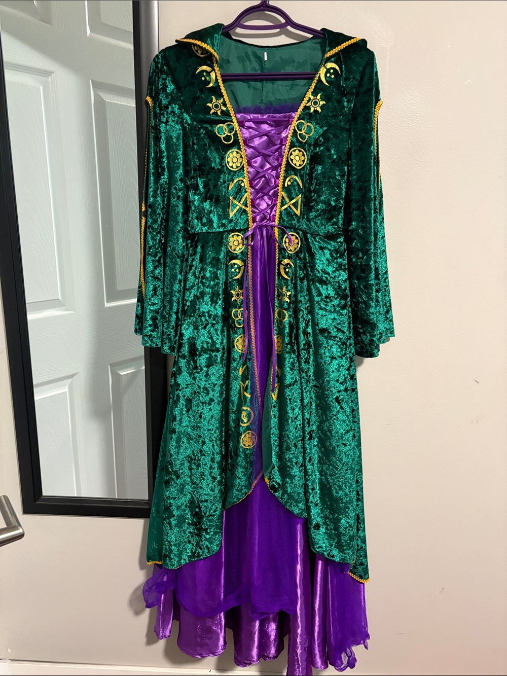 Hocus Pocus Green and Purple Velvet Women Costume Dress